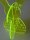 BUNNY TO GO - Flower Power - Glowing Acrylic Bunny