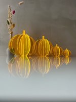 PUMPKIN TO GO - xs - Acrylic Glass orange
