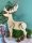 DEER TO GO