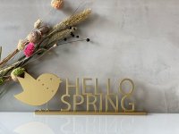 HELLO SPRING
