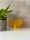 POPPY der leuchtende Acrylglas Vogel