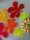 HENRY – The Illuminated Acrylic Glass Leaf | GLOWING BLISS™